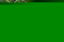 ??????????